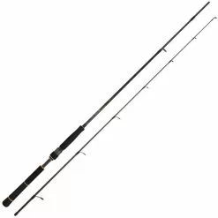CANNA DAIWA BLACK GOLD SEABASS