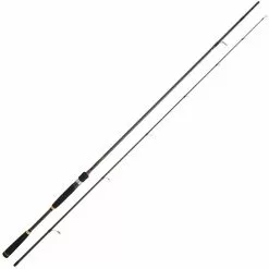 CANNA EGING DAIWA LEGALIS SQUID