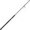 CANNA SMITH AMURO 250 2 CANNA SMITH AMURO 250 -Vendite Pesca del bordo canna smith amuro 250 z 2177 217772