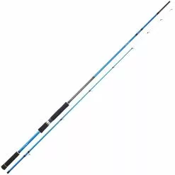 CANNA SUNSET NAUTILIA SW20