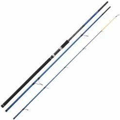 CANNA SUNSET SETOISE SW20