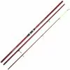 CANNA SURFCASTING DAIWA SWEEPFIRE -Vendite Pesca del bordo canna surfcasting daiwa sweepfire z 2147 214749