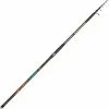 CANNA SURFCASTING TELESCOPICA ITALCANNA EVO 120 2 CANNA SURFCASTING TELESCOPICA ITALCANNA EVO 120 -Vendite Pesca del bordo canna surfcasting telescopica italcanna evo 120 z 1128 112871