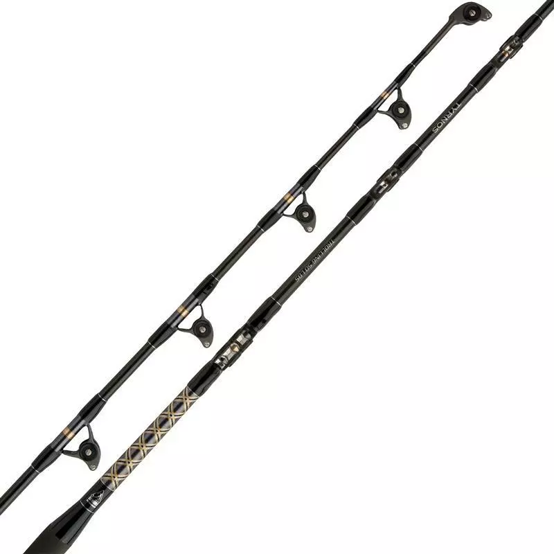 CANNA TRAINA SHIMANO TYRNOS TROLLING 2 CANNA TRAINA SHIMANO TYRNOS TROLLING