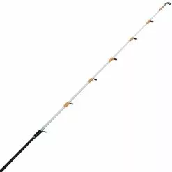 CANNE EGING OKUMA TATAKY PRO 6 CANNE EGING OKUMA TATAKY PRO -Vendite Pesca del bordo canne eging okuma tataky pro z 2461 246180 2