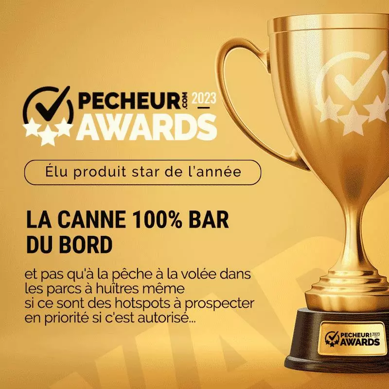 CANNE SPINNING ILLEX ELEMENT RIDER X5 S2702MH SHORELAUNCHER 4 CANNE SPINNING ILLEX ELEMENT RIDER X5 S2702MH SHORELAUNCHER - immagine 2