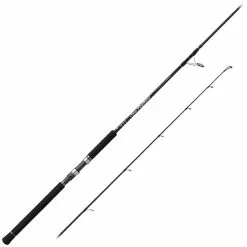 CANNE SPINNING PALMS SEA RAPTURE