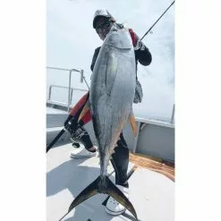 CANNE SPINNING TAILWALK KUROSHIO OC 80XH -Vendite Pesca del bordo canne spinning tailwalk kuroshio oc 80xh z 2718 271896 3