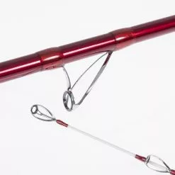 CANNE SURF VERCELLI OXYGEN TIRRENO -Vendite Pesca del bordo canne surf vercelli oxygen tirreno z 2523 252320 5