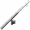 COMBO PENN WRATH BOAT COMBO -Vendite Pesca del bordo combo penn wrath boat z 2161 216154