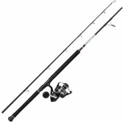 ENSEMBLE SPINNING PENN PURSUIT IV BOAT COMBO