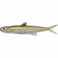 ESCA ARTIFICIALE SOFT BAIT EVER GREEN LAST ACE 168 - 17CM
